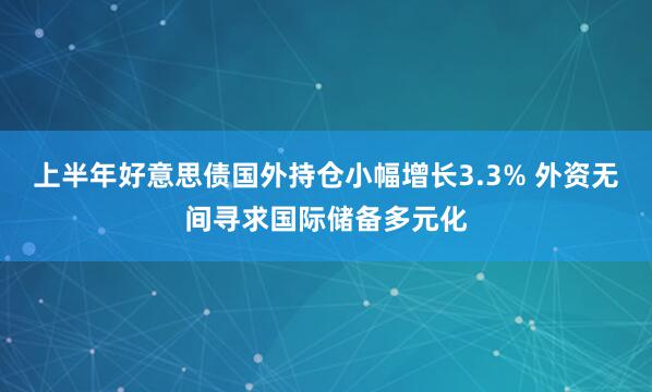 上半年好意思债国外持仓小幅增长3.3% 外资无间寻求国际储备多元化